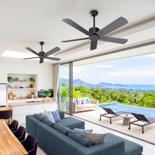 Black Ceiling Fan
