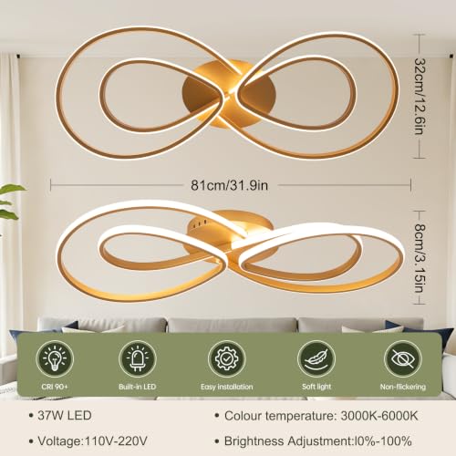 Modern LED Ceiling Light