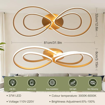 Modern LED Ceiling Light