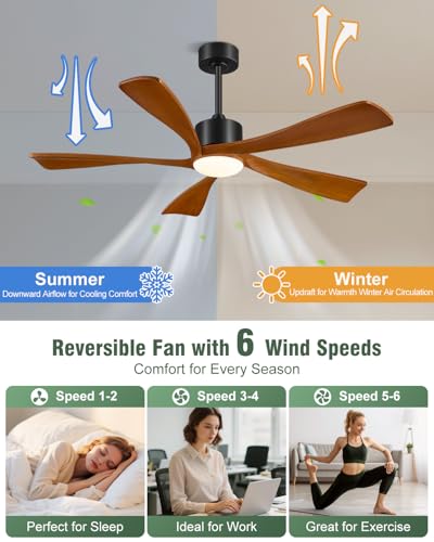 Smart Ceiling Fans with Lights
