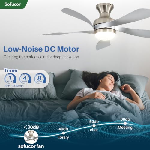 52 Inch Smart Ceiling Fans with Lights and Remote (Silver+Nickel / 52inch Max)