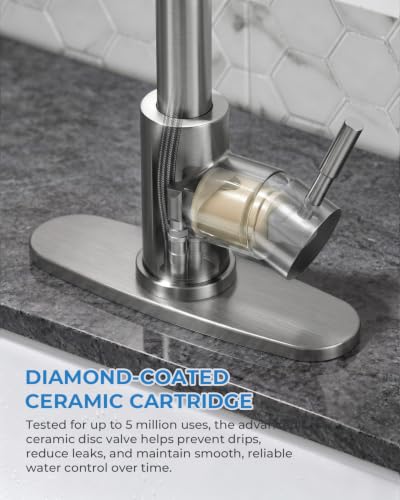 Kitchen Faucet with Pull Down Sprayer (Brushed Nickel)