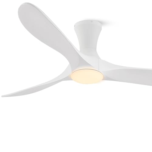 low profile ceiling fan with Light