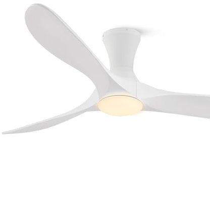 low profile ceiling fan with Light