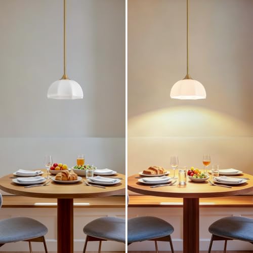 Milk Glass Pendant Light