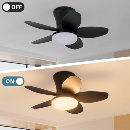 Small Ceiling Fan with Lights