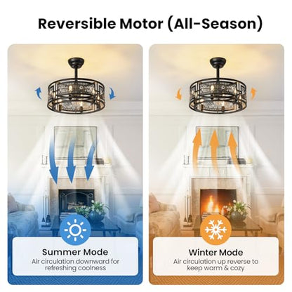 Caged Ceiling Fan with Light