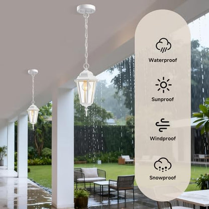 13.4 Inch Outdoor Hanging Pendant Light