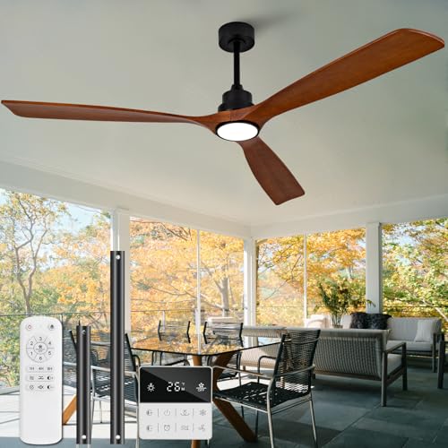 Ceiling Fan with Light