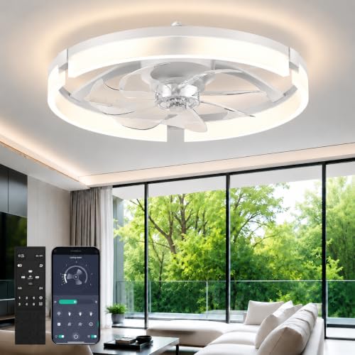 Ceiling Fans with Lights and Remote