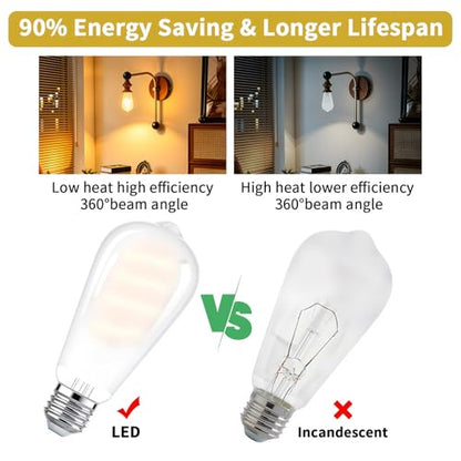 E26 Edison Bulbs