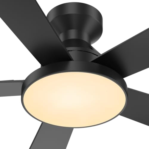 Ceiling Fans with Lights