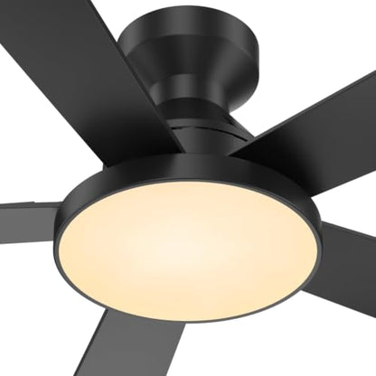 Ceiling Fans with Lights