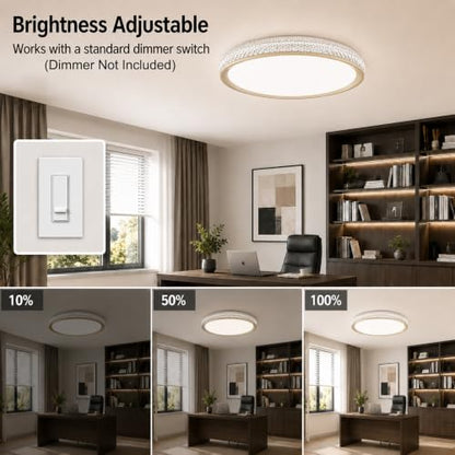 LED Flush Mount Ceiling Light