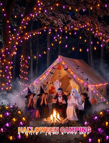 26Ft Halloween String Lights Outdoor (Orange/Purple)