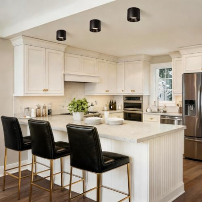 Flush Mount Ceiling Light Fixture