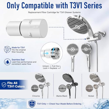 Filtered Shower Head with Handheld