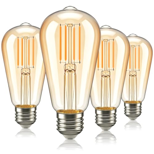 Vintage Edison LED Light Bulbs
