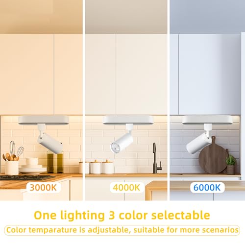Dimmable 3CCT LED Track Lighting Kit