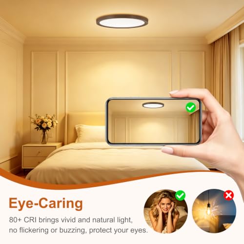 LED Flush Mount Ceiling Light Thin Color Adjustable Wired