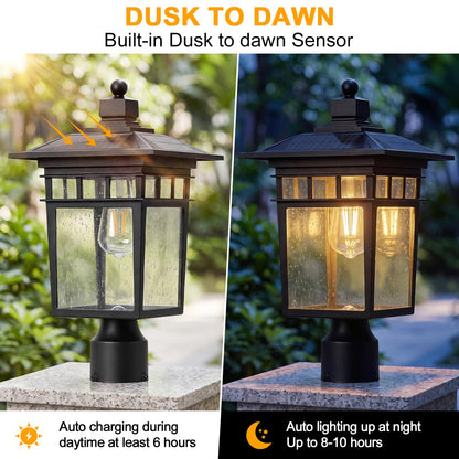 Solar Post Lights Outdoor (Black / 17-Inch-1 Pack-Solar Powered)