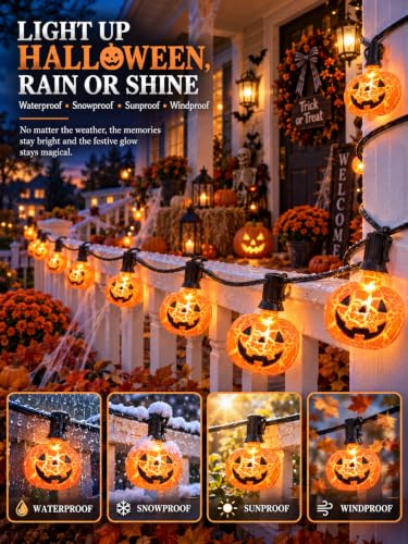 10.5Ft Halloween Pumpkin String Lights (Orange Pumpkin Lights / 11.5FT)