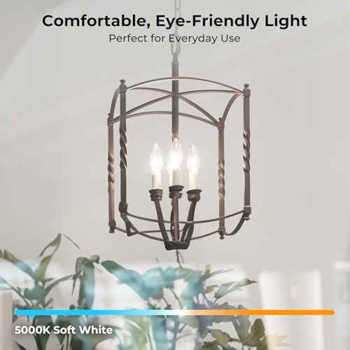 Candelabra Light Bulbs 60 watt Equivalent (24 Pack - 6w / Daylight)