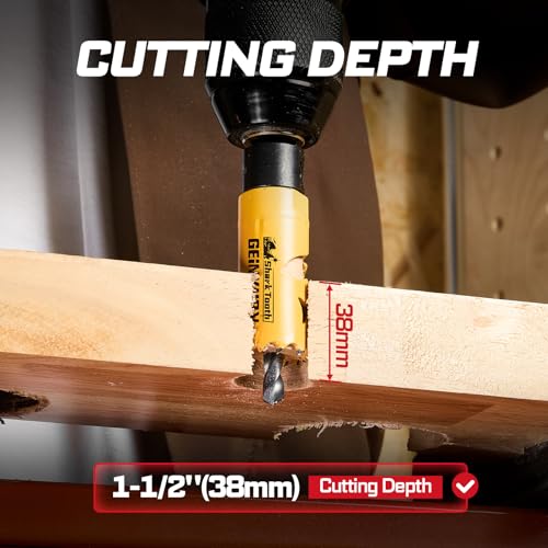 3/4 Inch(19mm) Hole Saw, 2PCS HSS Bi-Metal Hole Saw Kit with Shark Tooth Hole Cutter for Wood,Drywall, PVC Boards and Thin Metal (2 PCS 3/4")