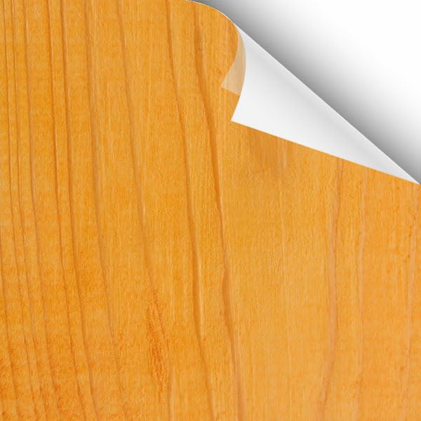 Water Based Wood Stain and Sealer in One
