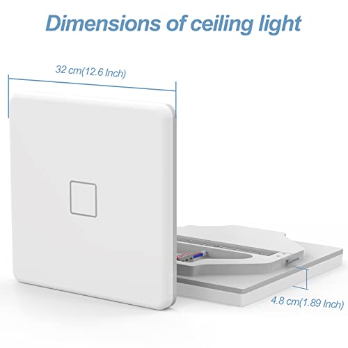 LED Ceiling Light