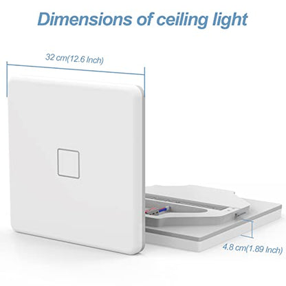 LED Ceiling Light