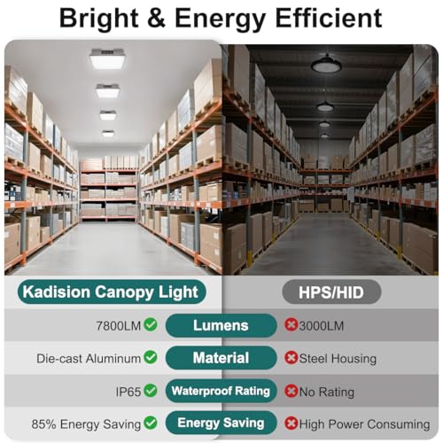 60W LED Canopy Light for Gas Station