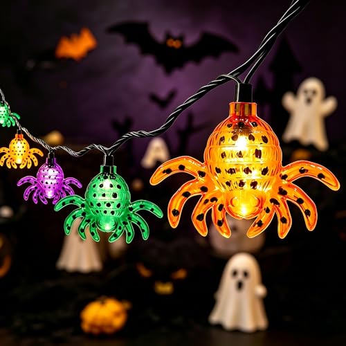10 Lights Outdoor String Lights