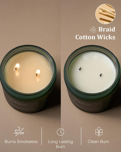 Celestial Cypress Scented Candles for Home (Celestial Cypress / Medium Jar)