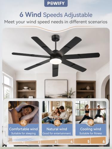 Ceiling Fans with Lights