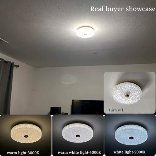 Crystal Flush Mount Ceiling Light