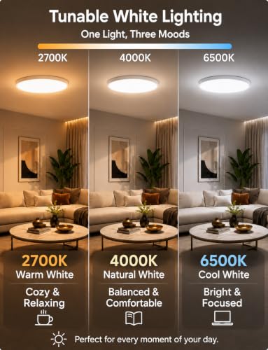 Smart RGB Ceiling Light 12 Inch RGBCCT WiFi App Voice Control