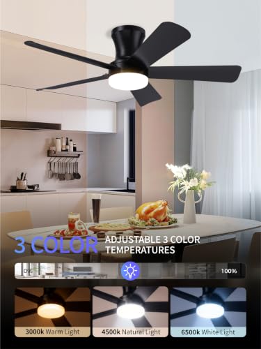 Low Profile Ceiling Fan with Light and Remote