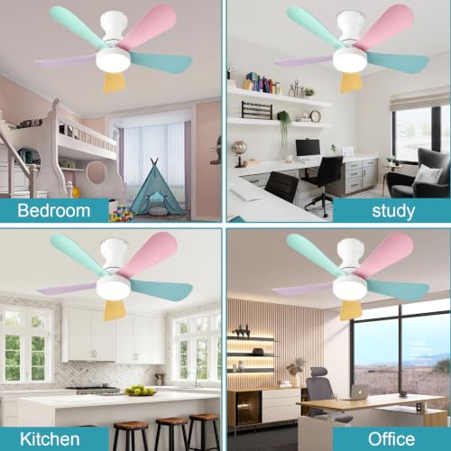 Ceiling Fans with Lights