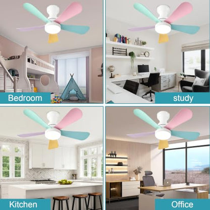 Ceiling Fans with Lights
