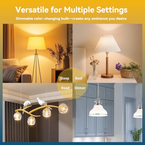 Smart E26 LED Bulbs with Remote Control and App Control