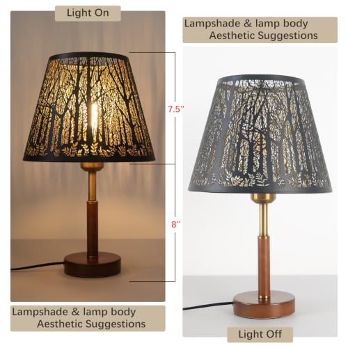 Metal Lampshade Fater