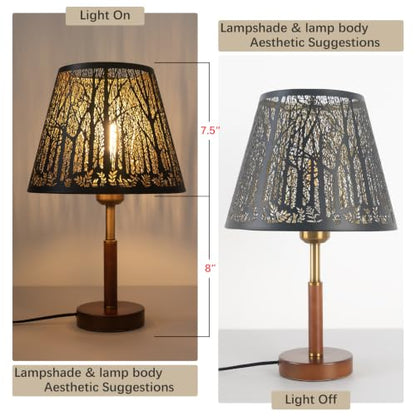 Metal Lampshade Fater
