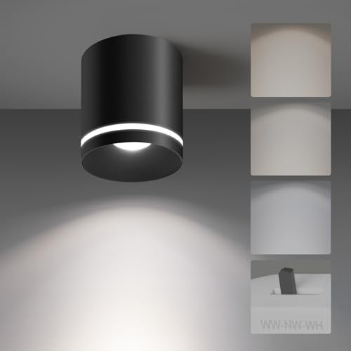 Ceiling Light Fixtures for Hallway Kitchen Entryway
