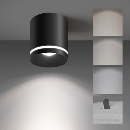 Ceiling Light Fixtures for Hallway Kitchen Entryway