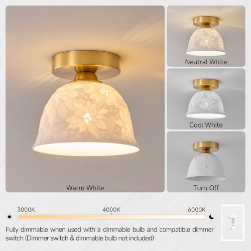 Ceramic Ceiling Light