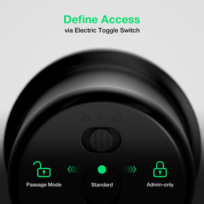 G1 Fingerprint Door Knob Lock with Keypad (Coal Black)