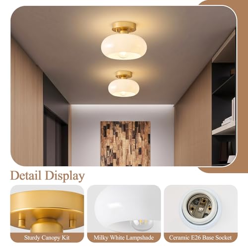 Moredern Black Ceiling Light0 00001
