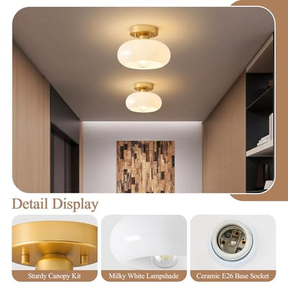 Moredern Black Ceiling Light0 00001