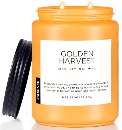 Goldenharvest Scented Candle Fruit Grain Fragrance for Autumn Home (Large Jar / Golden Harvest)